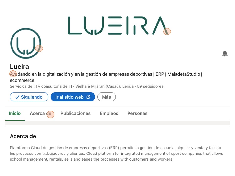 Perfil de empresa Lueira en LinkedIn