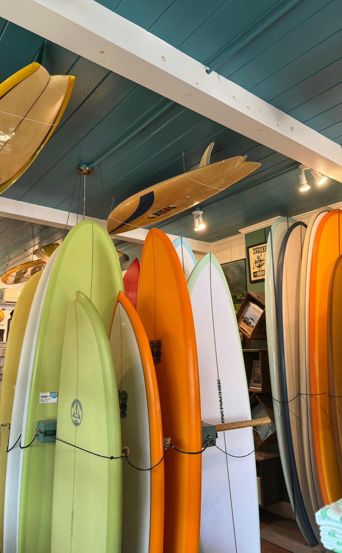 Tienda de alquiler de tablas de surf y SUP